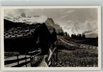 3823 Wengen Foto AK Wengernalp