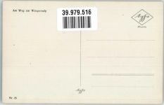 3823 Wengen Foto AK Wengernalp