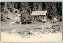 1875 Morgins - Source Ferrugineuse