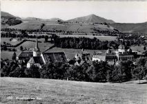 6313 Menzingen - Kirche, Schloss