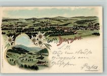 8903 Birmensdorf ZH 1899 BOAKC Eisenbahn Lithographie