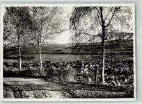 8570 Weinfelden 1947 Foto AK