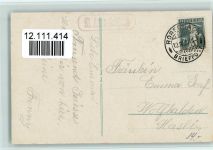 9400 Rorschach - St. Anna-Schloss Bodensee Dampfschiff