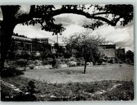 8000 Zürich - Zoo Bäume