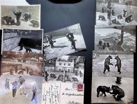 3000 Bern Berne Lot mit 25 AK Bärengraben