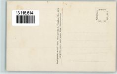 3000 Bern Berne - Privat-Foto Festumzug