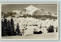 9658 Wildhaus - Togg. mit Schafberg Winter