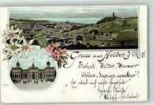 9410 Heiden 1898 Gebrauchsspuren Kursaal Edelweiss Lithographie