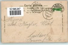 8000 Zürich 1908 - Blick von der Peterskirche