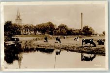 8000 Zürich Foto AK