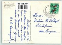 6644 Orselina - Hotel Orselina