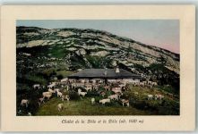 La Dole - Chalet Kühe auf der Weide