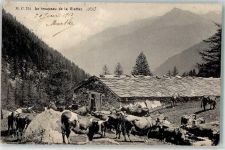 1925 Gietroz Finhaut 1913 - Le troupeau