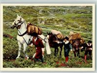 17. Jahrhundert Saumkolonne