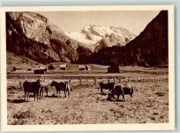 9657 Unterwasser - Kühe Obertoggenburg