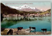 7500 St. Moritz - Kühe am See Piz della Margna