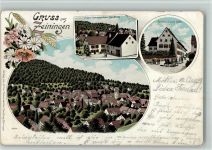 4314 Zeiningen 1902 BOAKC Handlung Schumacher Gasthaus Adler Lithographie