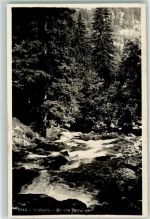 1337 Vallorbe - Source de Orbe