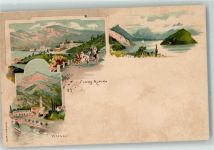 6354 Vitznau Lithographie Flora Alpina