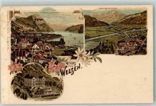 8872 Weesen Lithographie Hotel Speer Bahnhof Eisenbahn Glärnisch Leistenkamm Churfirsten Edelweiss