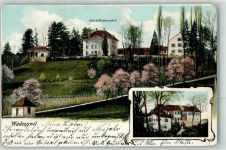 8820 Wädenswil 1906 Gebrauchsspuren Obst u. Weinbauschule