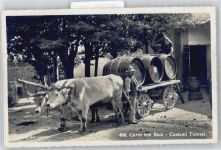Tessin, Ochsenwagen Tracht Schweiz