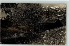 8750 Glarus - Frühlingsblüten Ort lt. Stempel