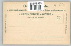 8200 Schaffhausen Sciaffusa - Rheinfall