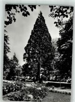 8265 Mammern Foto AK Parkpartie Kurhaus