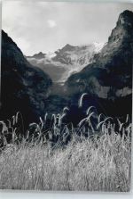 7500 St. Moritz - Berg Panorama