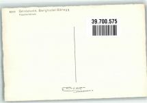 3818 Grindelwald Foto AK Berghotel Bäregg Foto Gyger