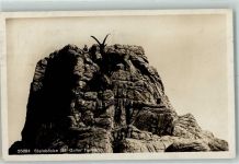 9000 St. Gallen S. Gallo - Tierpark Steinböcke