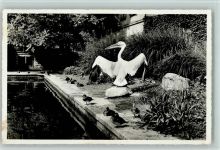 9000 St. Gallen S. Gallo - Pelikan im Stadtpark