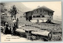 1660 Château-d´Oex - Paysage