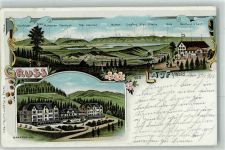8636 Lauf Wald ZH 1901 Lithographie Sanatorium Gasthaus Zum Lauf