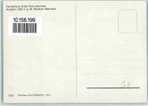 7159 Andiast - Ferienhaus Arbor felix montana Spielende Kinder