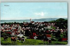 9410 Heiden 1909 - Kühe