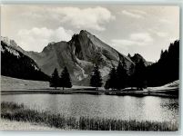 9657 Unterwasser - Gräppelensee mit Schafberg Obertoggenburg
