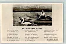 8280 Kreuzlingen - Fischerin vom Bodensee Lied