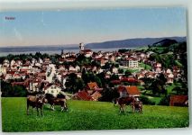9410 Heiden