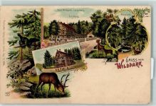 8000 Zürich 1901 Lithographie Wildpark Restaurant Wildpark Langenberg Forsthaus Waldpartie Hirsch Auerhahn Ort lt. Stempel