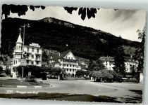 6353 Weggis Foto AK Hotel Victoria Schweizerhof
