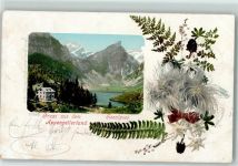 Seealpsee 1903 - Edelweiß Farn