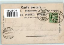 Seealpsee 1903 - Edelweiß Farn