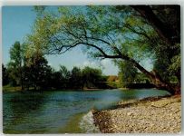 8239 Dörflingen - Rhein Bachmündung Kant. Natur- und Heimatschutz-Vereinigung