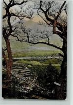 7310 Bad Ragaz 1916 - Bäume