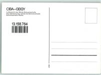 4133 Schweizerhalle Pratteln - Fliegeraufnahme Ciby-Geigy Werk