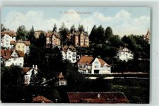 9000 St. Gallen S. Gallo 1917 - Rosenberg