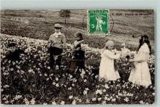 1000 Lausanne Losanna 1911 - Champ de Narcisses