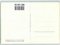 Verlag u. Fotograf Hans Steiner Murmeltier Motiv Schweiz Foto AK